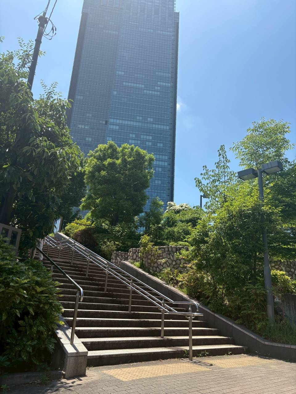 KOYO女子メンバーの親睦ランチ